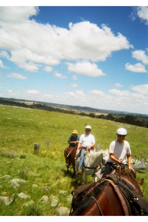 Horses