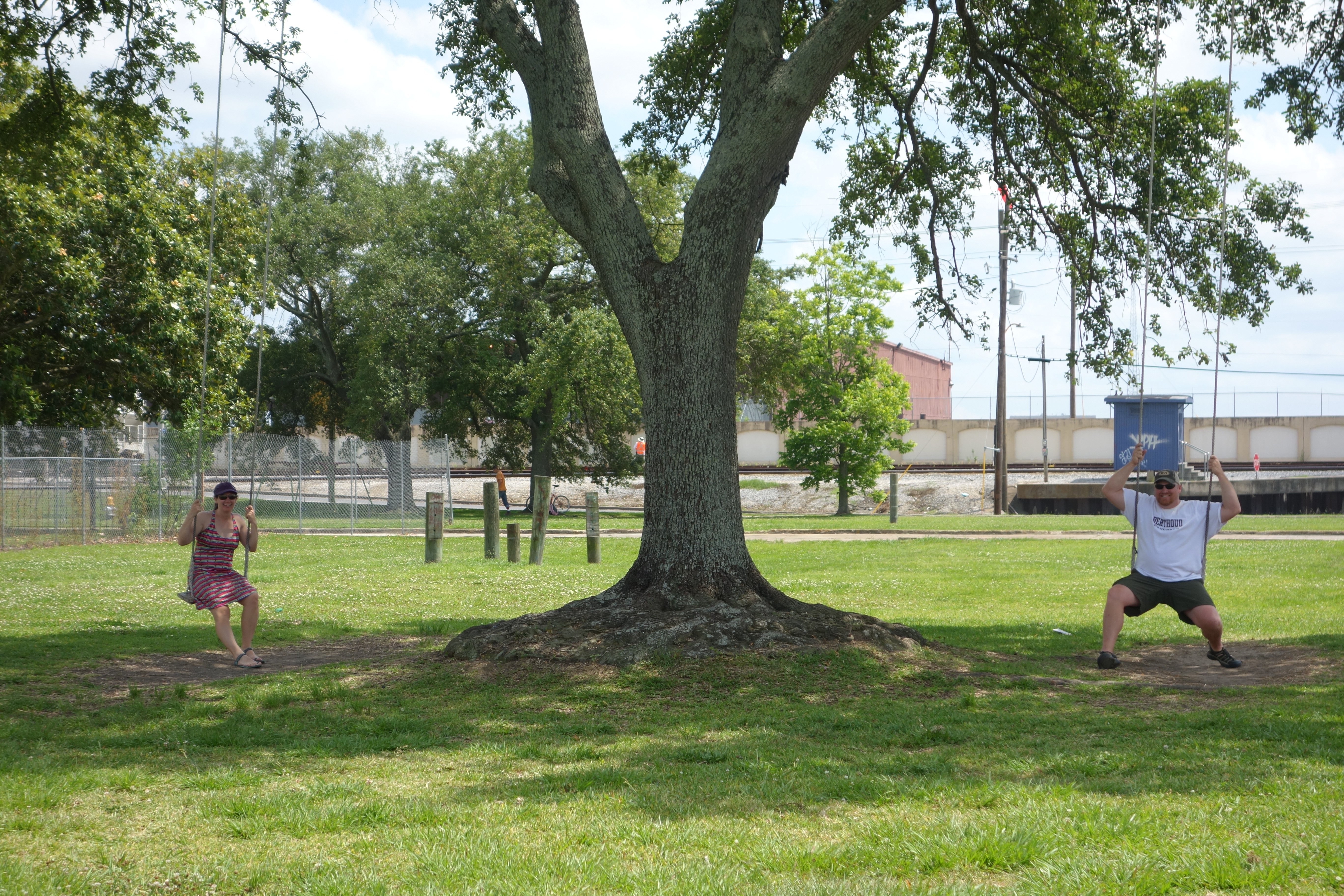 Swings under a big tree in the Bywater
