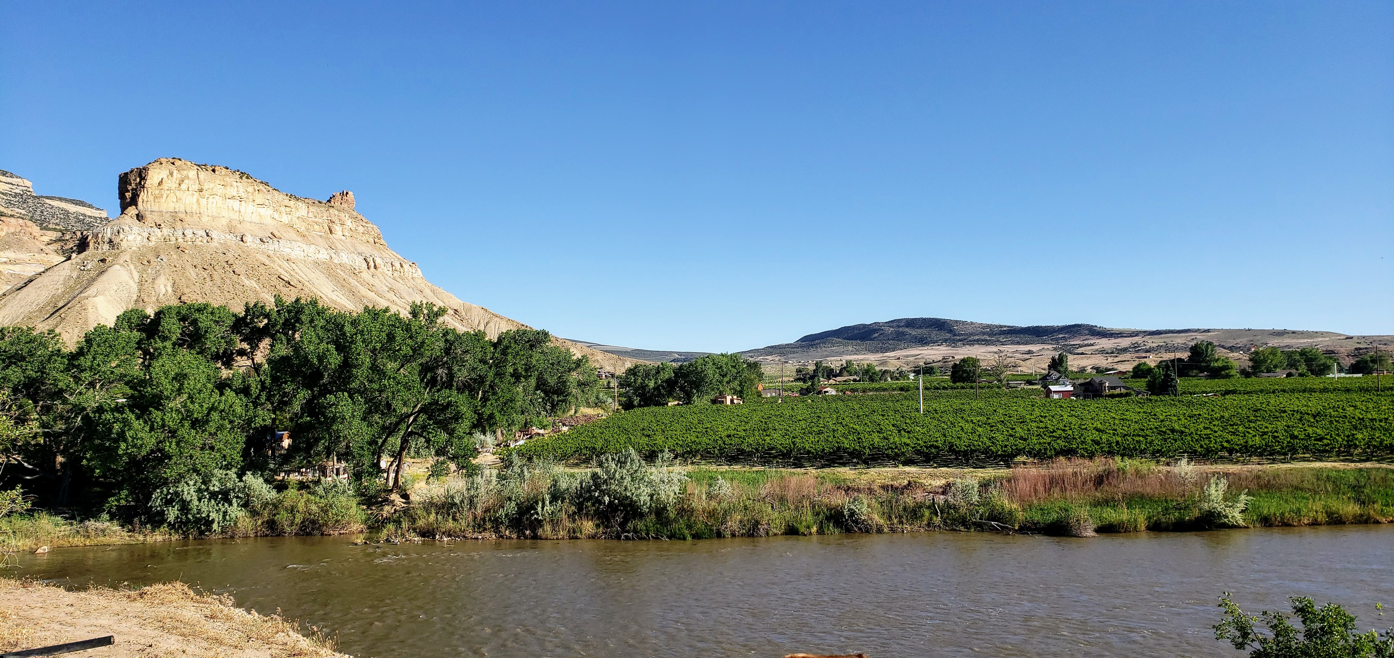 How to do a Palisade Peach and Wine Tour