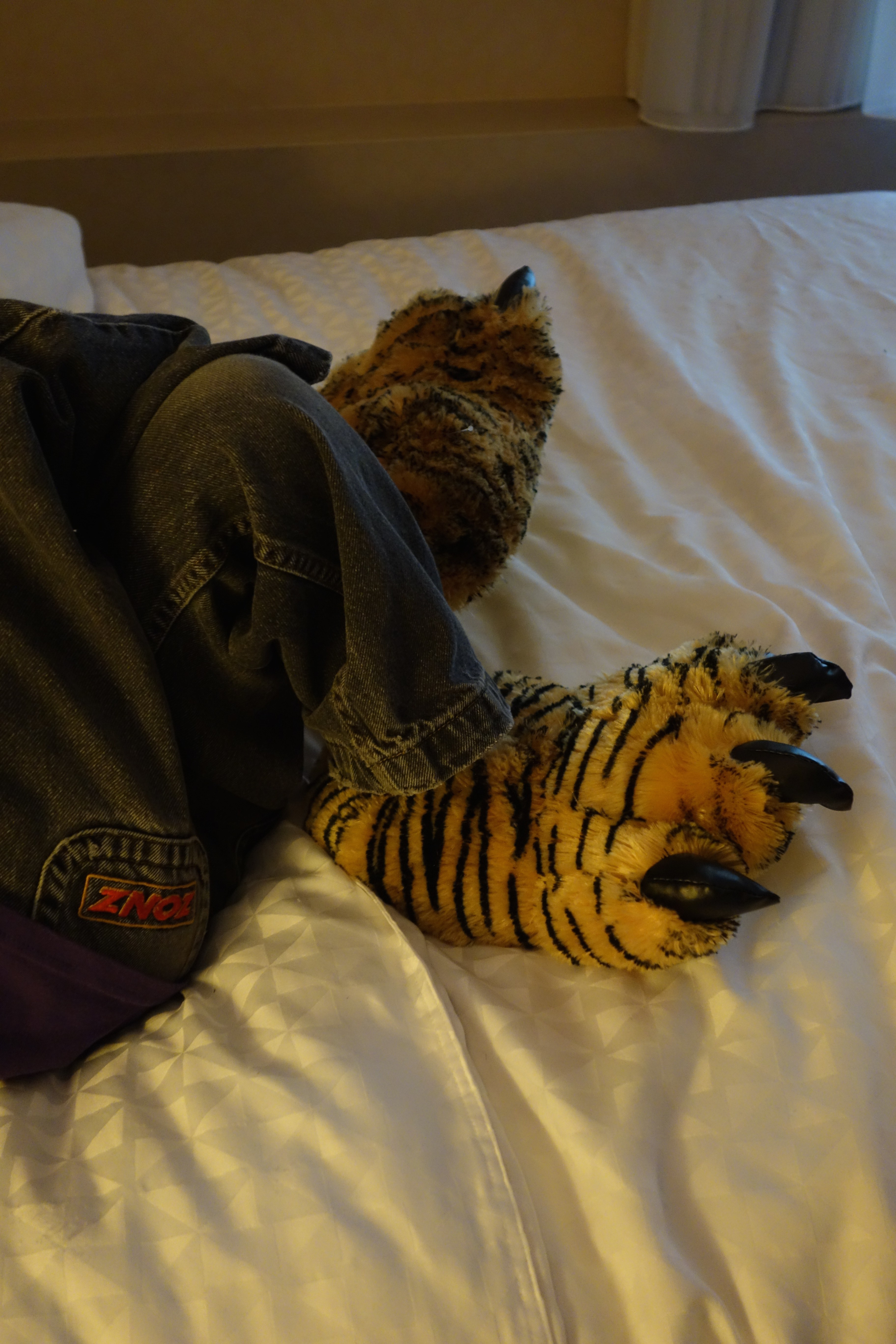 Tiger slippers