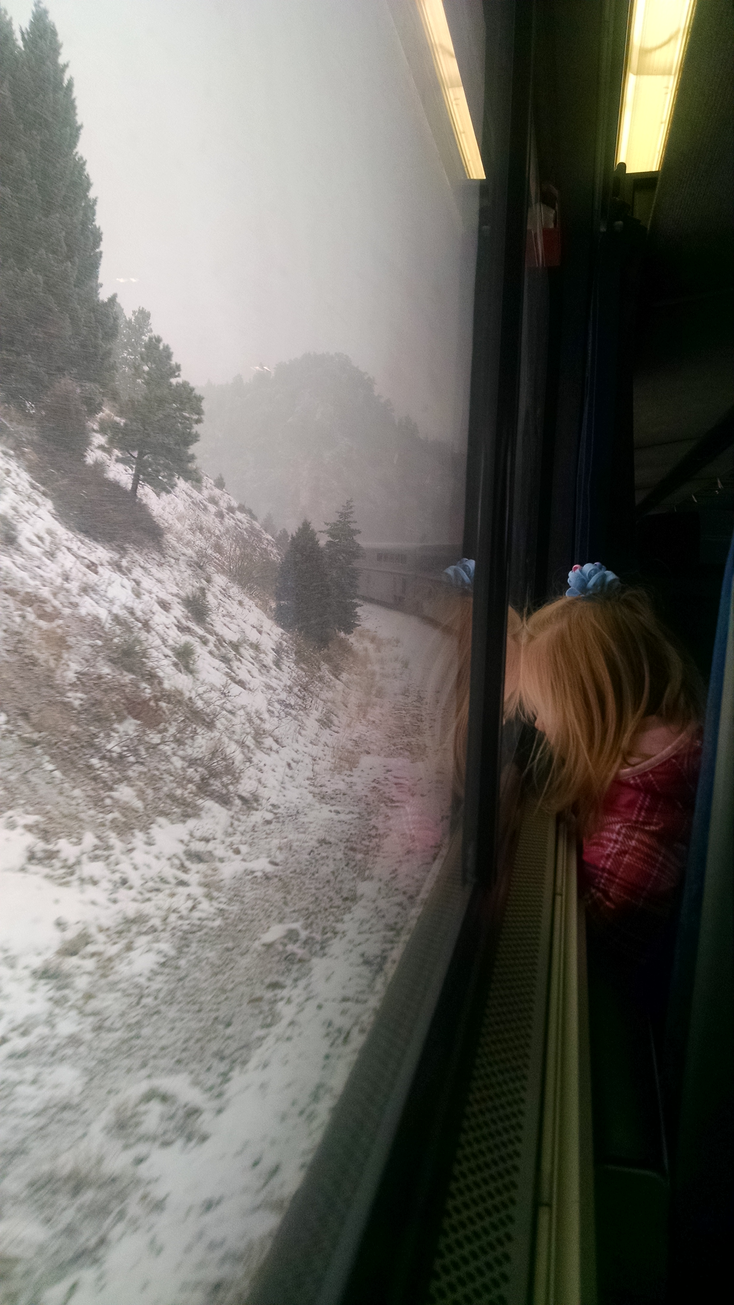 Looking for mountain lions