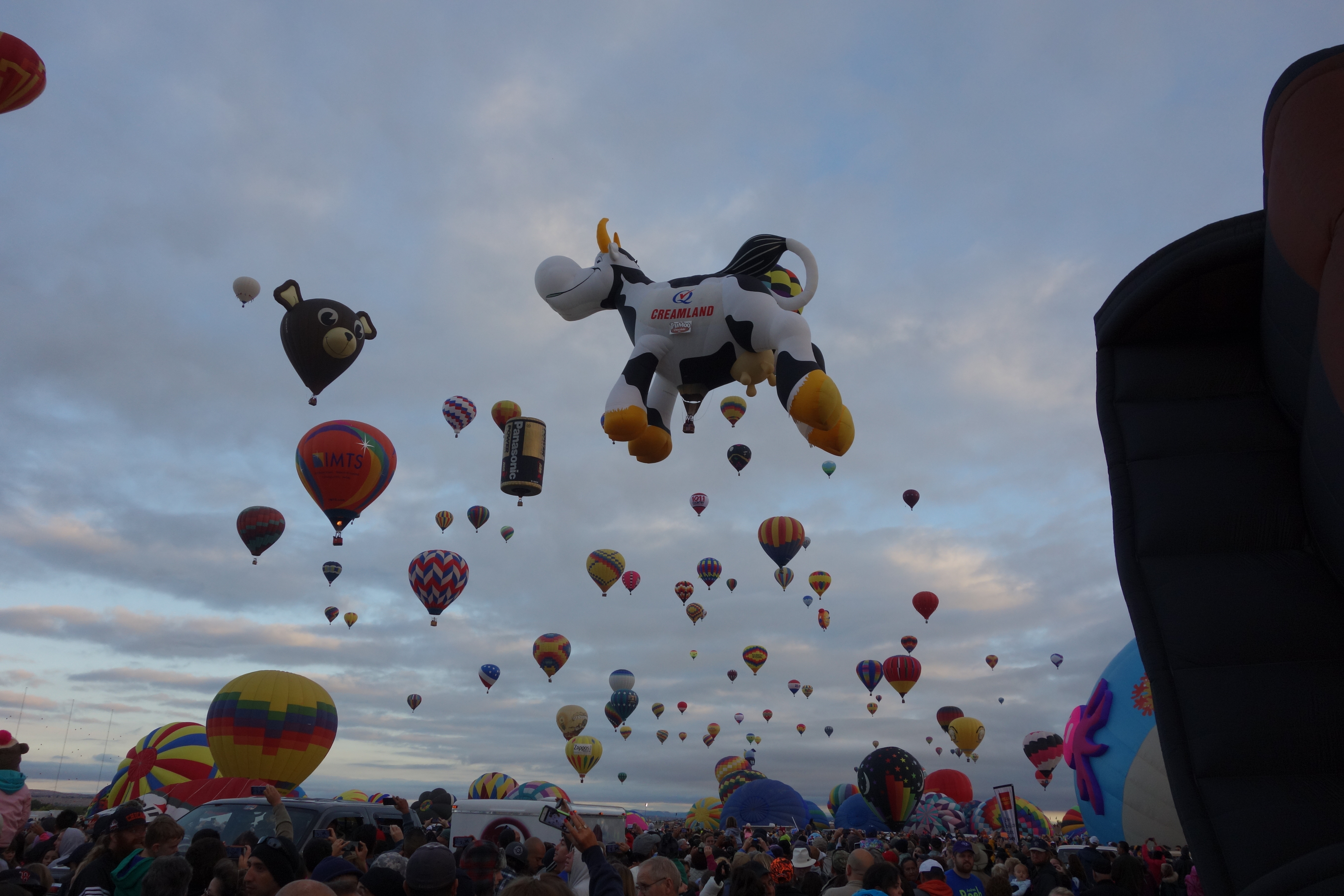 Cow shaped hot air balloon